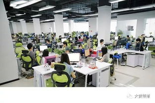 兰州 在科技浪潮中寻觅软件开发之路